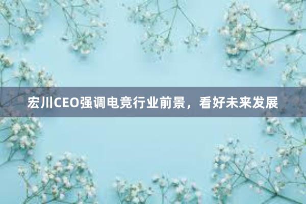 宏川CEO强调电竞行业前景，看好未来发展